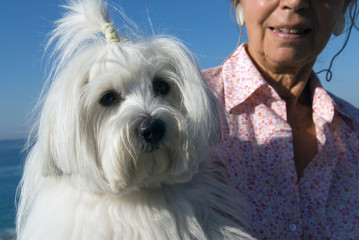 coton 