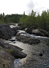 Summer scenery of remote rapids in Northern Sweden