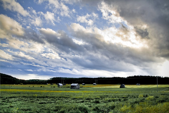 A Swedish rural scenery