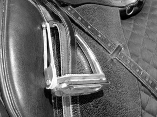 Selle de cheval