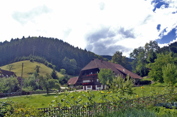 Fototapeta na wymiar Schwarzwald