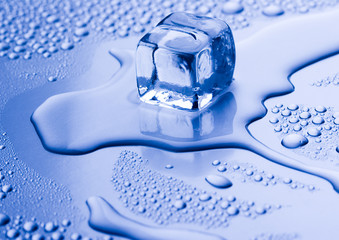 ice cube and water