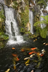 Fabric by meter Waterfalls Koi fish pond with waterfalls in a Chinese Buddhist temple