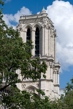 cathedrale notre Dame