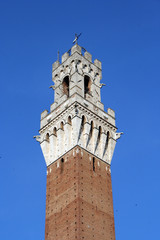 Fototapeta premium Siena