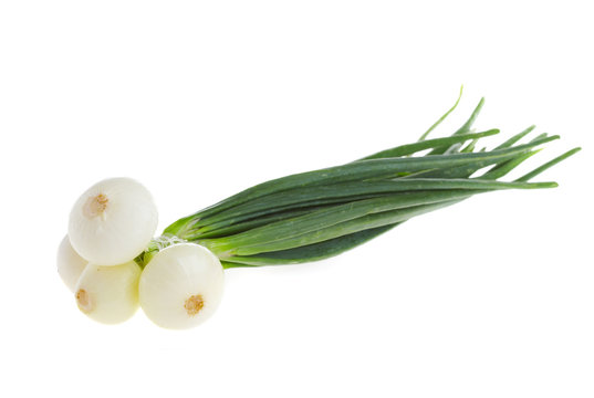 Photo of a spring onions on a white background