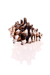 Seashell isolated on white background