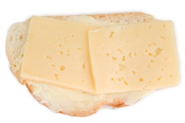 cheese sandwich