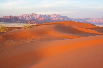 Fototapeta na wymiar Dunes rouges dans le Désert du Namib - Namibie