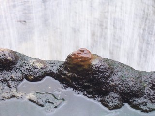 Stalagmite under Waterfall