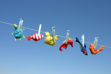 Sea animal toys hanging on the laundry wire and drying