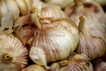 Garlic cloves