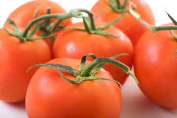 close-up fresh ripen tomatoes on white