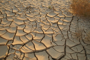Dry soil - ecology problem
