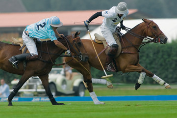 action polo