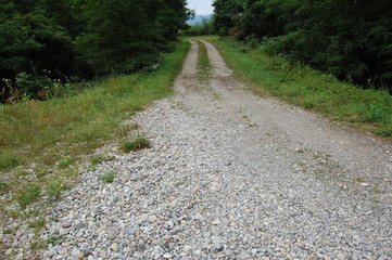 Obraz premium einsamer Weg