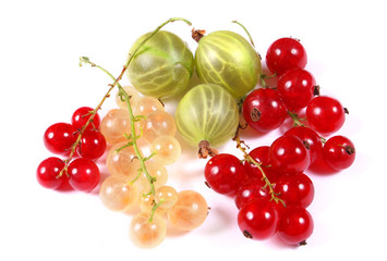 Fresh red, white currants and gooseberry