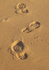 Traces de semelles de chaussure sur le sable