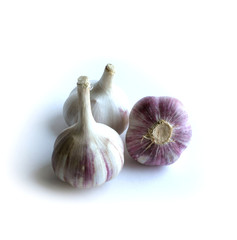 Garlic on the white background
