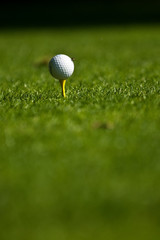 Pratique du sport : Golf 17