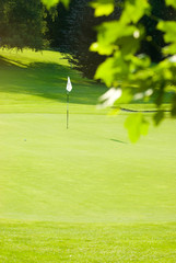 Pratique du sport : Golf 28