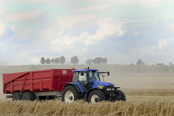 Obraz premium moisson du blé