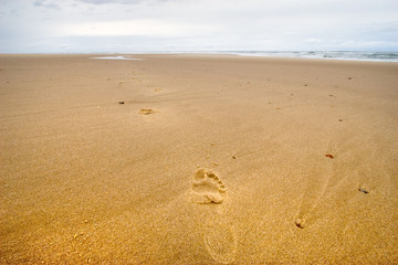 footprints on a wild beach 3