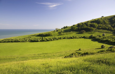 Green field with sea.