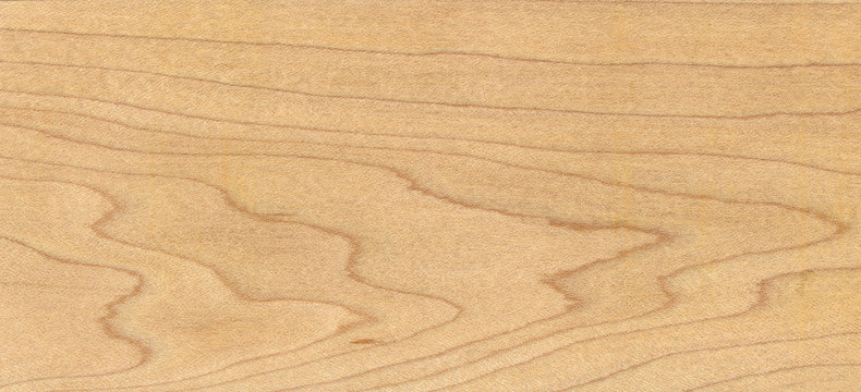 legno d'acero