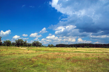 Obraz premium Meadow with blue sky and clouds