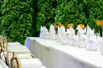 Party table
