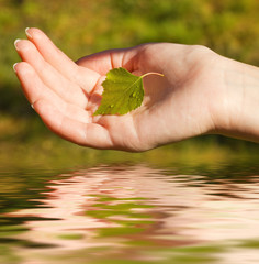 Hand with a leaf over rendered water