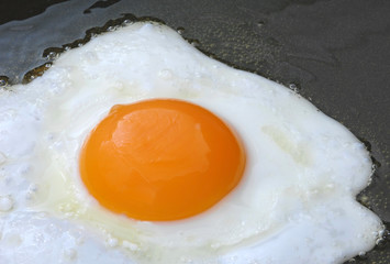 Delicious egg close up frying in pan