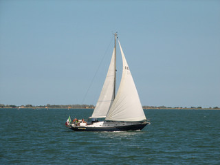 Fototapeta premium Vela