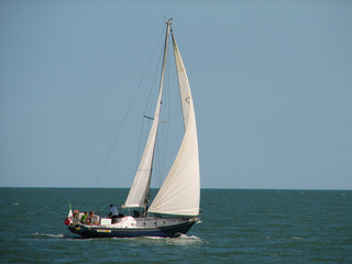 Vela