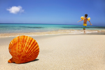 Fototapeta na wymiar Shell na plaży z dzieckiem pracuje
