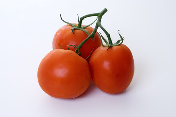 fresh ripen tomatoes on white