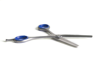 a pair of scissors