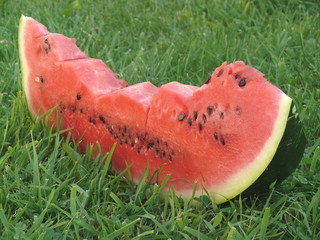 Wassermelone