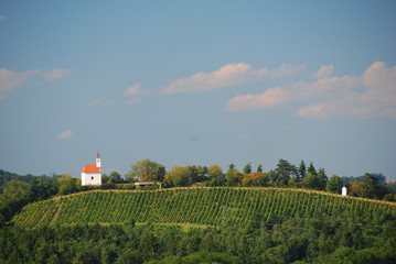 Fototapeta na wymiar Small church on a hill near Maribor, Slovenia
