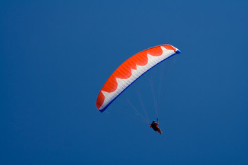 Paraglider