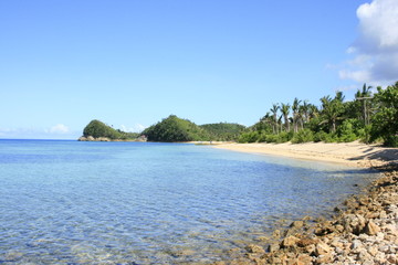 A Tropical Beach