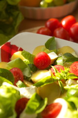 Vegetarian Salad
