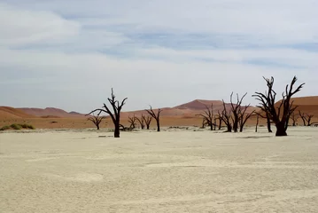 Fotobehang Arbres morts - Namibie - Deadvlei © Sahara Nature