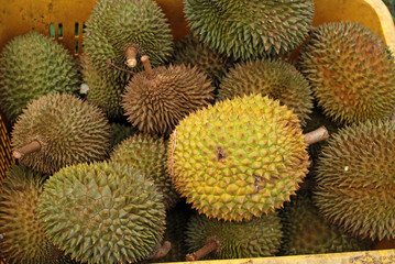 king of fruit - the durians