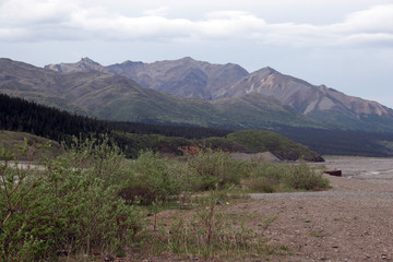 Scrub bushes and mountains