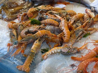 pesce fresco appena pescato al mercato del pesce cicala di mare