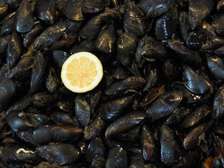 pesce fresco appena pescato al mercato del pesce cozze