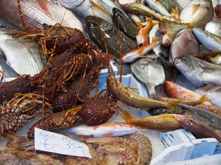 pesce fresco appena pescato al mercato del pesce
