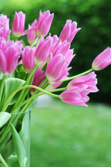 decoration by tulips in vase on nature